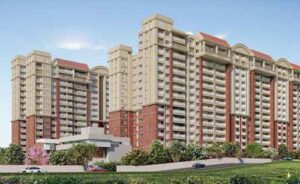 brigade insignis (1)