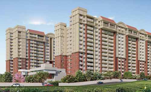 brigade insignis (1)